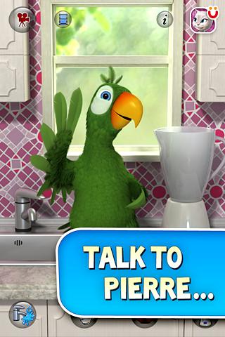 Talking Pierre the Parrot 1