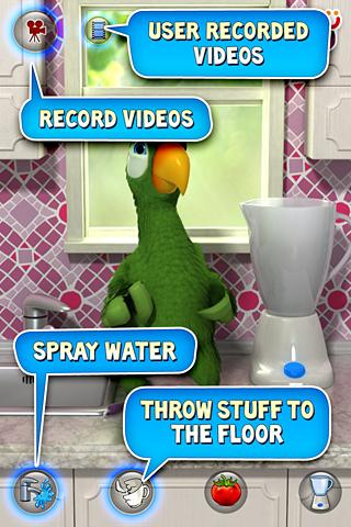 Talking Pierre the Parrot 3