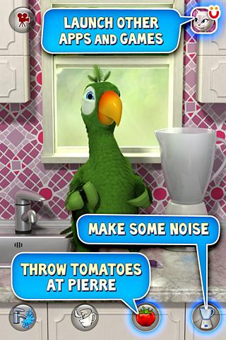 Talking Pierre the Parrot 4