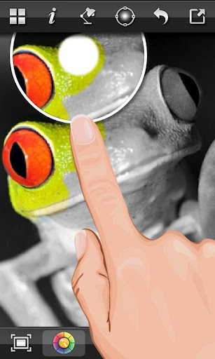 Color Splash FX 3