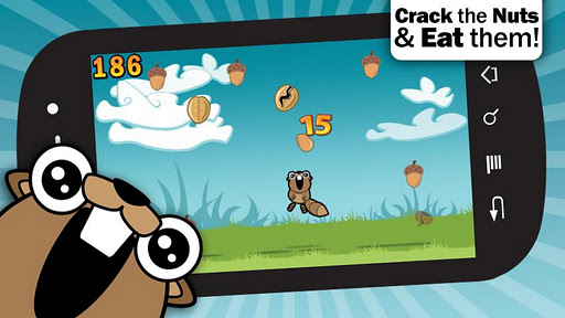 Noogra Nuts 2