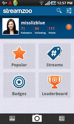 Streamzoo 1