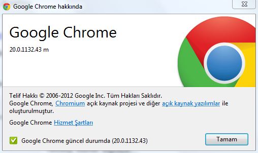 google chrome 20