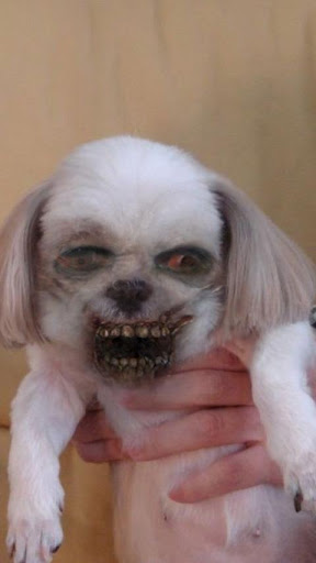 ZombieBooth 5