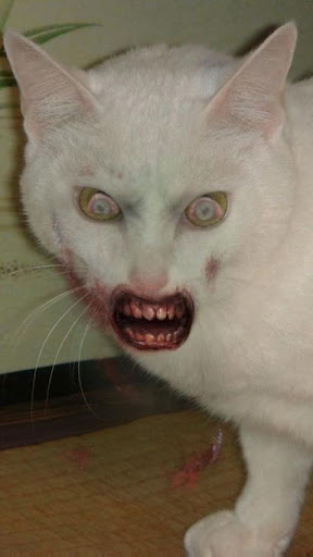 ZombieBooth 6