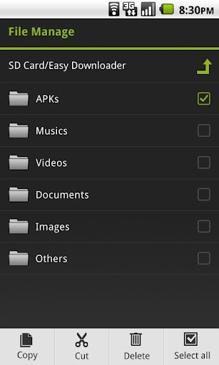 Easy Downloader 4