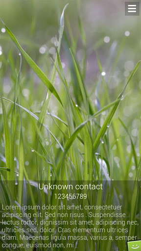 Full Screen Caller ID LITE 6