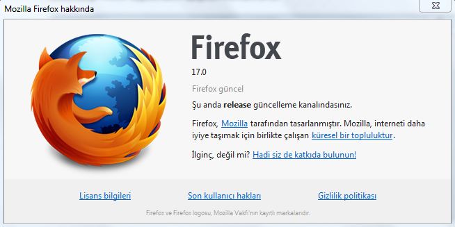 firefox 17