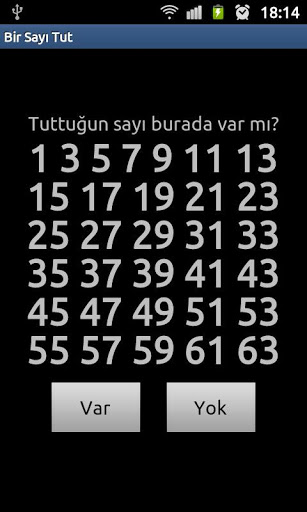 Bir Sayı Tut 2