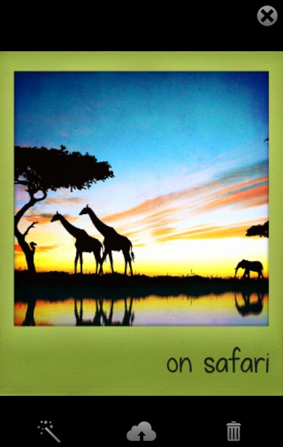 Polamatic by Polaroid 6