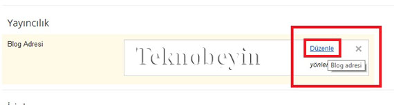 Blogger www sorunu