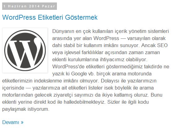 blogger devamini oku eklentisi
