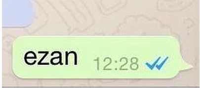 whatsapp capsleri 3