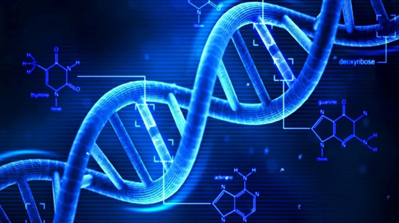 aziz sancar dna onarimi