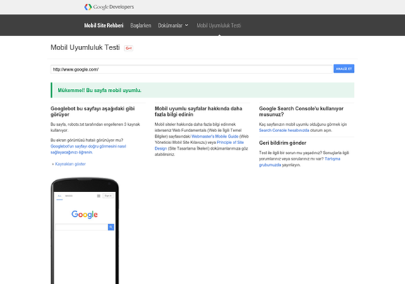 google mobil uyumluluk testi 2