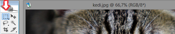 photoshop bulaniklastirma 1