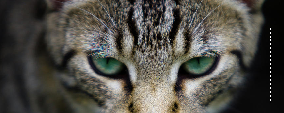 photoshop bulaniklastirma 2