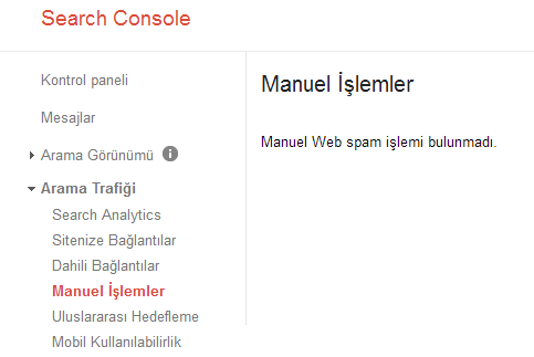 search console manuel islemler