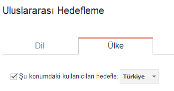 uluslararasi hedefleme nasil yapilir