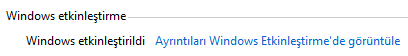 windows orijinal mi degil mi