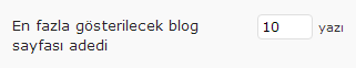 wordpress ana sayfa yazi sayisi