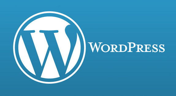 wordpress buyuk boy