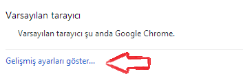 google chrome yazim denetimi kapatmak 2