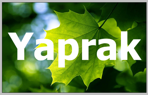 photoshop yazi icine fotograf 3
