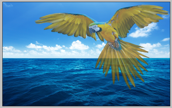 photoshop fotograf birlestirme 8