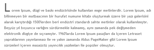 css ilk harfi buyuk paragraf