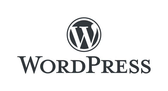 wordpress buyuk boy logo