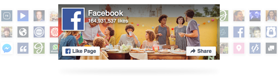 facebook begen kutusu yapmak 2