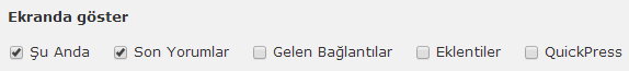 wordpress ekran tercihleri 2