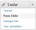wordpress linkleri yeni pencerede acmak 2