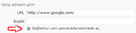 wordpress linkleri yeni pencerede acmak 5