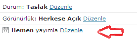 wordpress yazi zamanlama 2