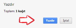 google chrome sayfa yazdirmak 4
