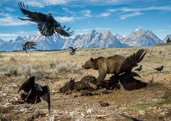 National Geographic en iyi fotograflar 10