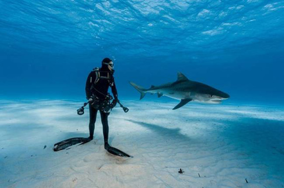National Geographic en iyi fotograflar 9