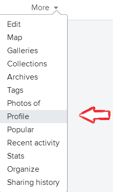 flickr backlink almak 1