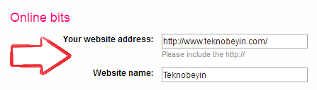 flickr backlink almak 3