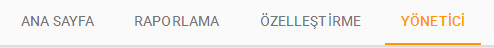 google analytics kategori belirlemek 1