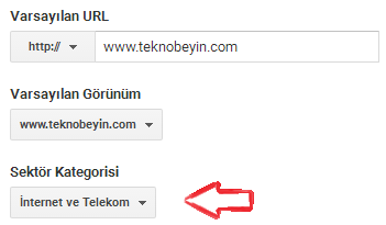 google analytics kategori belirlemek 4