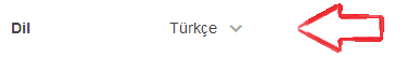 tumblr dil degistirme 2