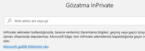 microsoft edge gizli sekme 3