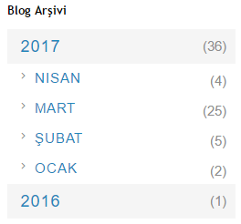 blogger blog arsivi ornegi