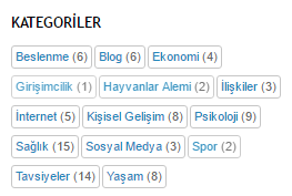 blogger etiket bulutu ornegi