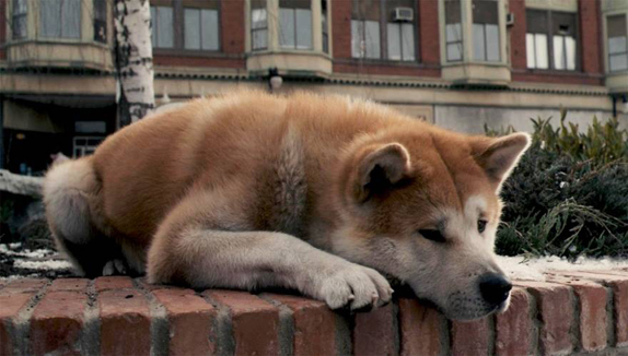 hachiko filmi buyuk boy