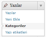 wordpress kategori olusturmak 1