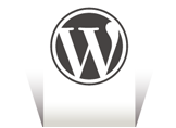 WordPress Kategori Kalıcı Bağlantı Ayarı Nasıl Yapılır?